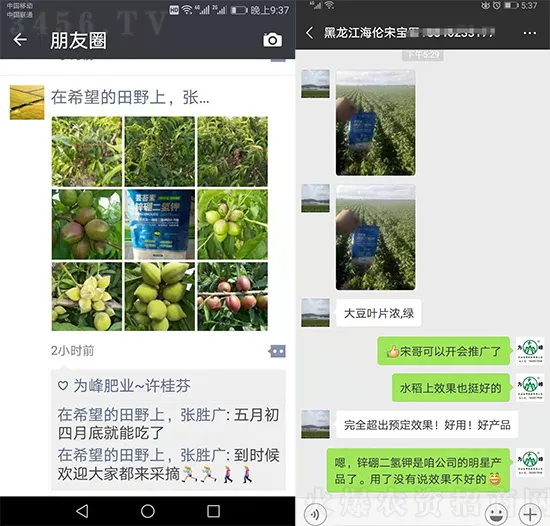 促花壯花神器，效果是單一磷酸二氫鉀的3-5倍！效果更快、更強