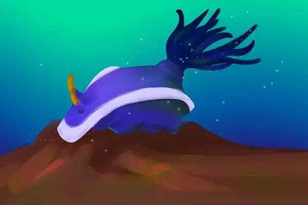 可愛呆萌的海兔，美出天際的海兔——海兔大全