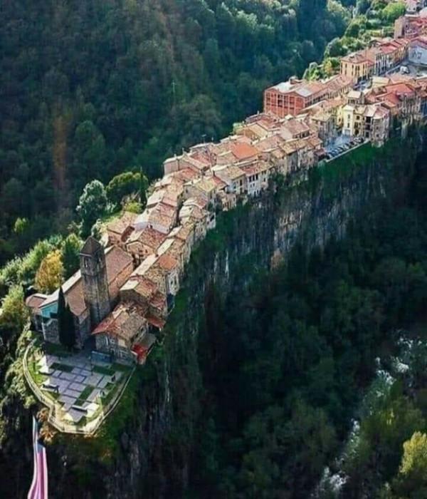 30張活久見的照片，消防員給昏迷的狗做人工呼吸，猩猩戴墨鏡耍酷