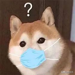 口罩支架,有效防疫不鬆懈 口罩支架,有效防疫不鬆懈