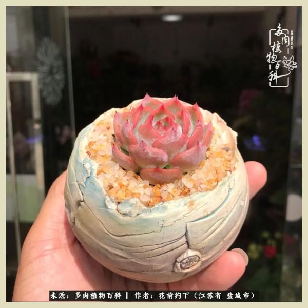 你儘管善良,福報都在路上 你儘管善良,福報都在路上