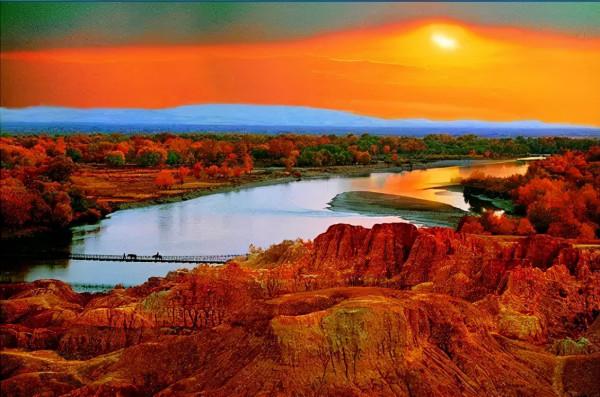 秋天的新疆，美成了桌布