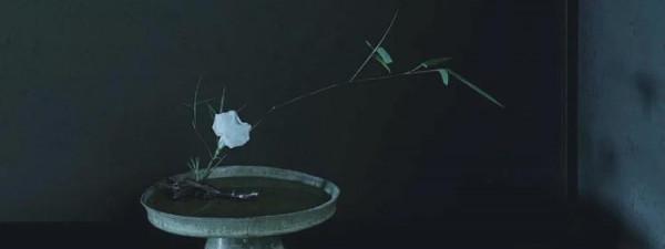 倪妮的最新古風大片翻車了？