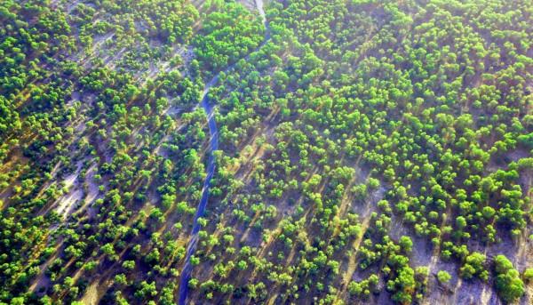 大美新疆，人間天堂