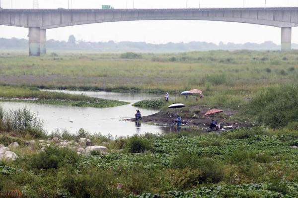 秋天魚口不好怎麼辦？做對這幾件事，漁獲翻一番