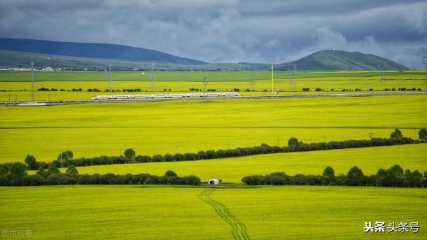 “加快高標準農田建設”，迎來2大好訊息，種糧農民獲利