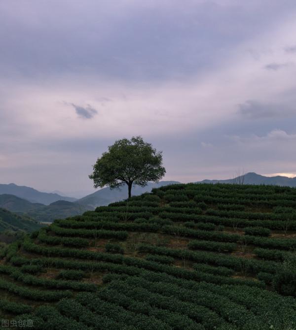 福建冷知識:關於福建的25個世界之最和中國之最,你知道幾個? 福建冷知識:關於福建的25個世界之最和中國之最,你知道幾個?