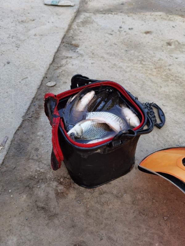 官莊水庫野釣爆護之旅,看看大師如何使用者實踐來證明 官莊水庫野釣爆護之旅,看看大師如何使用者實踐來證明