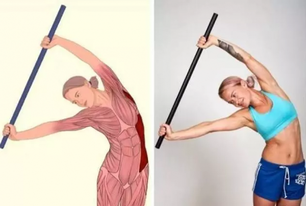 終於找到這套全身拉筋動作3D圖解,比教科書還管用 終於找到這套全身拉筋動作3D圖解,比教科書還管用