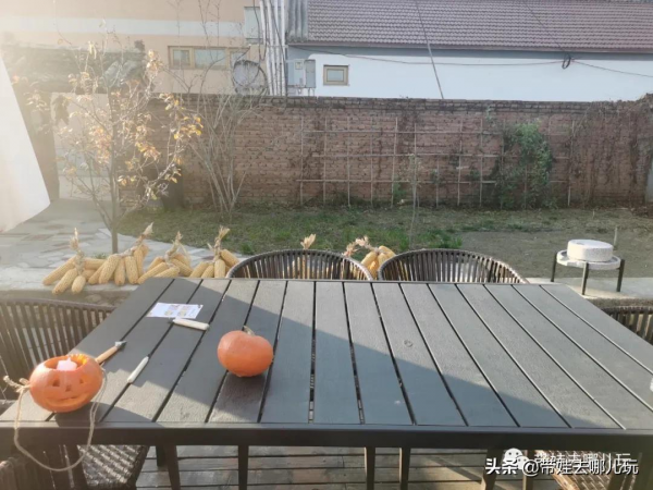 坐小火車穿行玉米地,和擎天柱合影~在北京寶藏民宿裡過萬聖節 坐小火車穿行玉米地,和擎天柱合影~在北京寶藏民宿裡過萬聖節