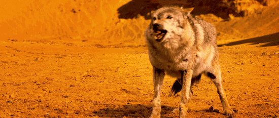 這不叫旅行，這叫玩命！一場說走就走的旅行，說失蹤就失蹤了