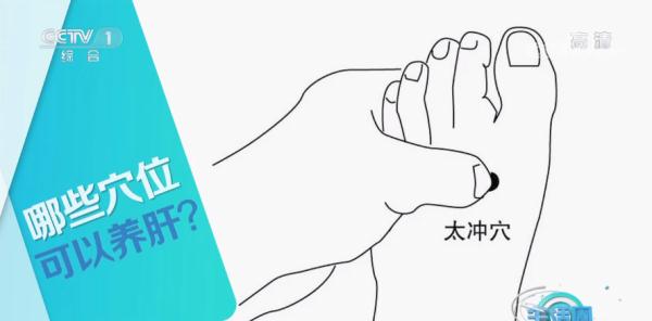 春季養肝&equals;&OpenCurlyDoubleQuote;養命&rdquo;，送你一份最全&OpenCurlyDoubleQuote;養護說明書&rdquo;