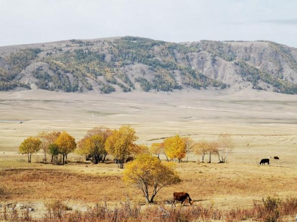 中秋、國慶20天12300公里自駕新疆南北（之六）
