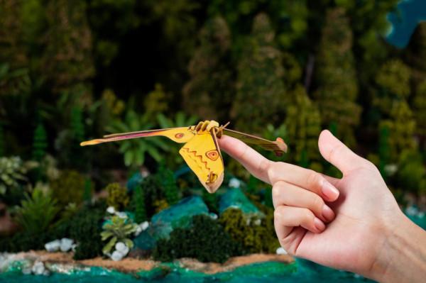 7歲孩子立志要研究"昆蟲",家長怎樣引導? 7歲孩子立志要研究"昆蟲",家長怎樣引導?