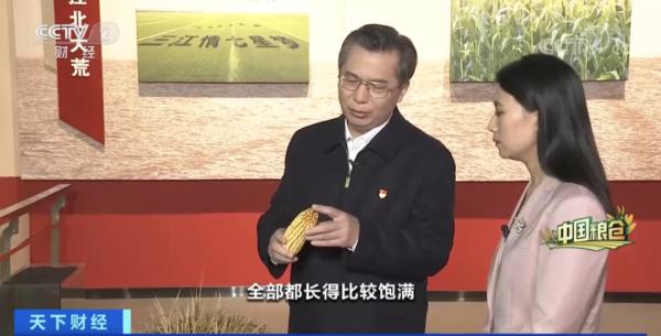 中國人每9碗飯中，就有1碗來自這裡！咱“中華大糧倉”產量或再創新高