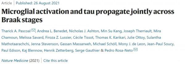 神經炎症促發阿爾茨海默病？新研究首次在活人大腦中找到證據
