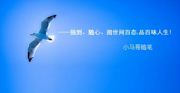 小馬哥:成本越低事兒越容易做成《44篇》 小馬哥:成本越低事兒越容易做成《44篇》