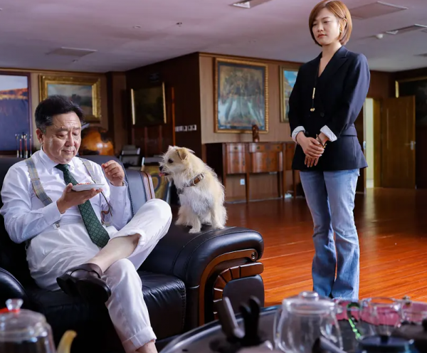 上映7天1740萬票房，評分僅3.5：爛片六大定律，關曉彤新片佔一半