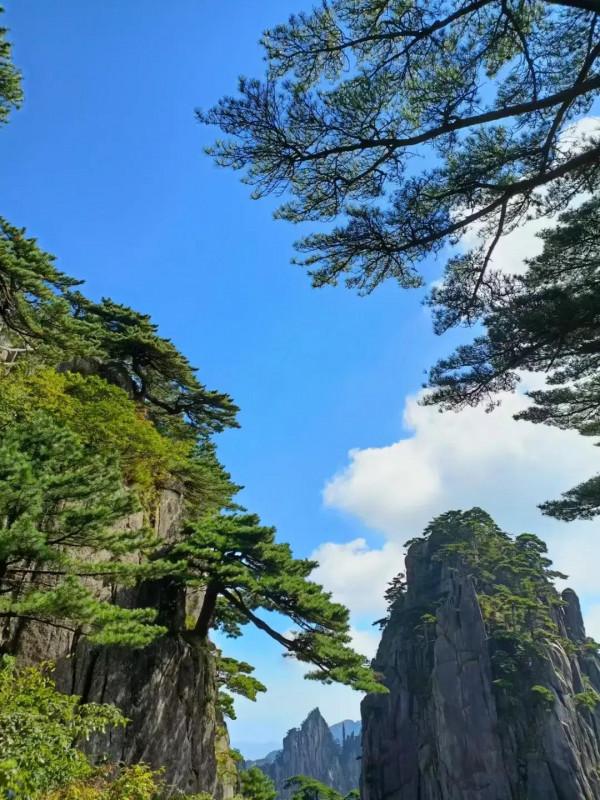 人到中年，才發現：除了生死，其他的都是小事