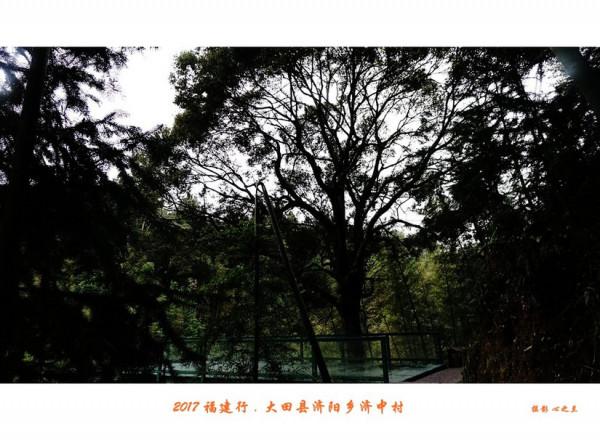 山海畫廊人間福地（229）——大田濟陽村（四）