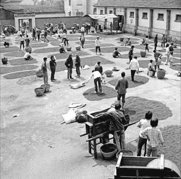 80年代5大“金飯碗”:當初趨之若鶩,如今風光不再 80年代5大“金飯碗”:當初趨之若鶩,如今風光不再