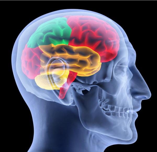 如果用一根直徑0.000001毫米的針穿過大腦,會發生什麼? 如果用一根直徑0.000001毫米的針穿過大腦,會發生什麼?