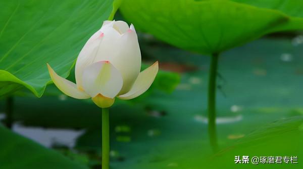 一種高階的人生活法：慢