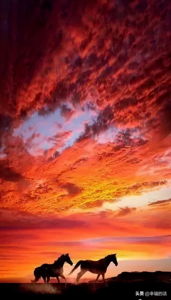 五彩繽紛的世界 五彩繽紛的世界