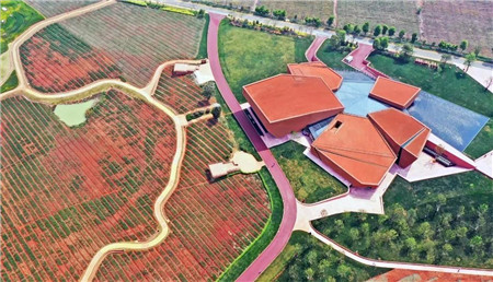 雲南寶藏小城，高鐵30分鐘直達，中秋國慶躺平玩兒