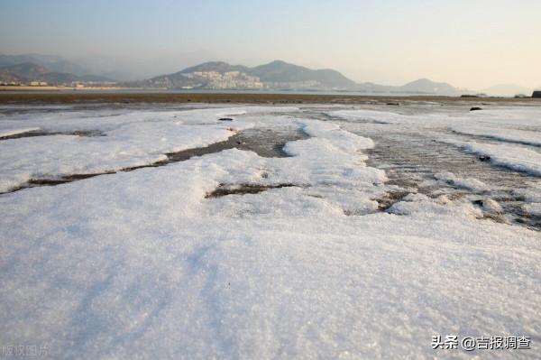 中醫專家建議：三九四九冰上走，最冷15天，保護好這七大器官是關鍵