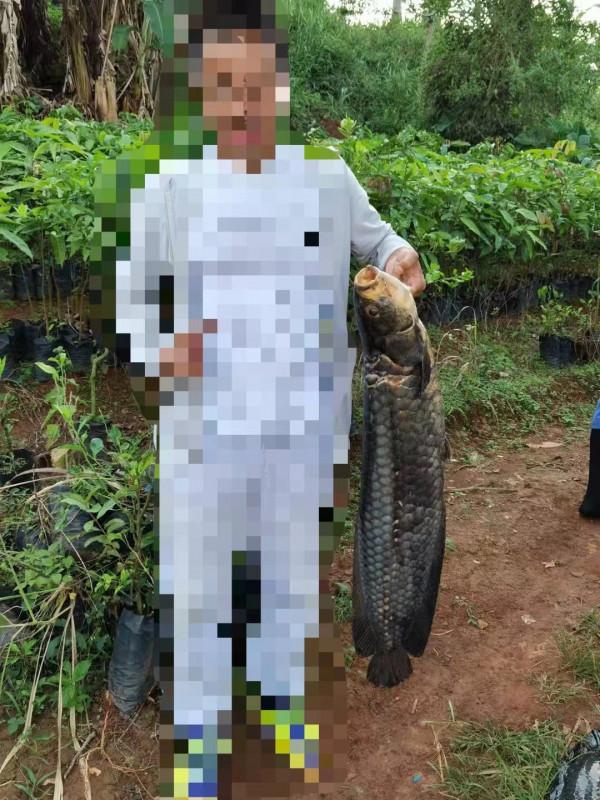 我在喀麥隆釣個魚玩