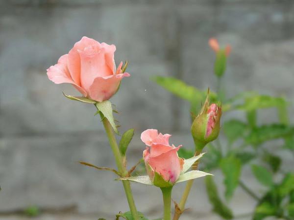不要緊,一切都會好的!貼心窩的4句話,送給迷茫的你 不要緊,一切都會好的!貼心窩的4句話,送給迷茫的你