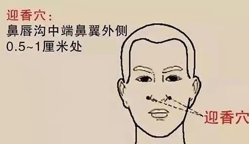 秋若會養肺，冬必少生病