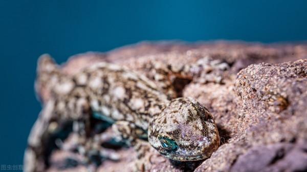 可飽和吸收體SA可製造超短脈衝鐳射器 未來市場空間大 可飽和吸收體SA可製造超短脈衝鐳射器 未來市場空間大