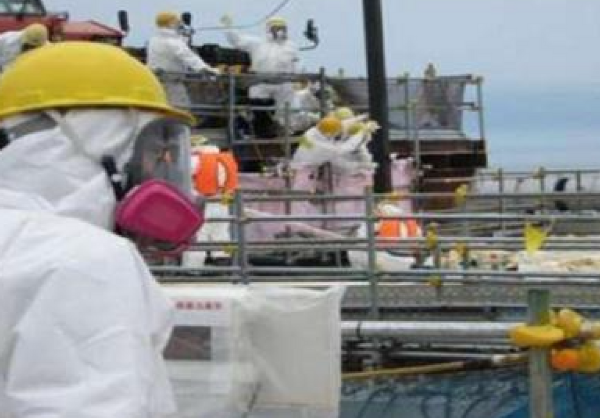 報應來了!日本海魚輻射超標14倍,這下“花錢控評”也沒用了 報應來了!日本海魚輻射超標14倍,這下“花錢控評”也沒用了