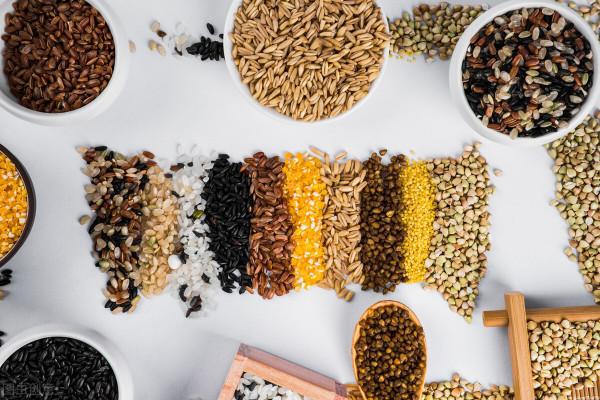 雜糧飯是智商稅？減肥到底能不能吃雜糧飯