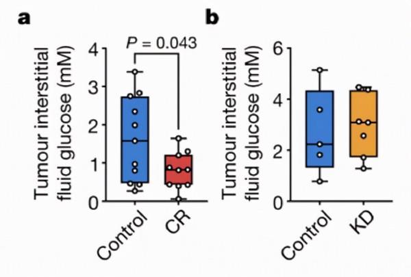 Nature發文:透過飲食干預可以抑制腫瘤生長 Nature發文:透過飲食干預可以抑制腫瘤生長
