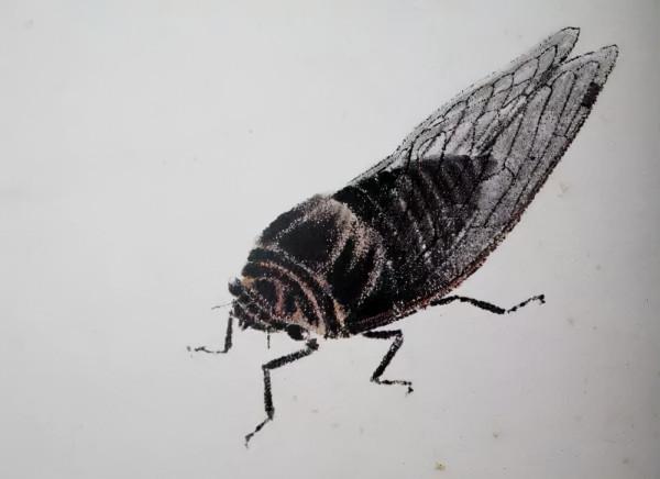 齊白石筆下的飛蟲,精細之極 齊白石筆下的飛蟲,精細之極