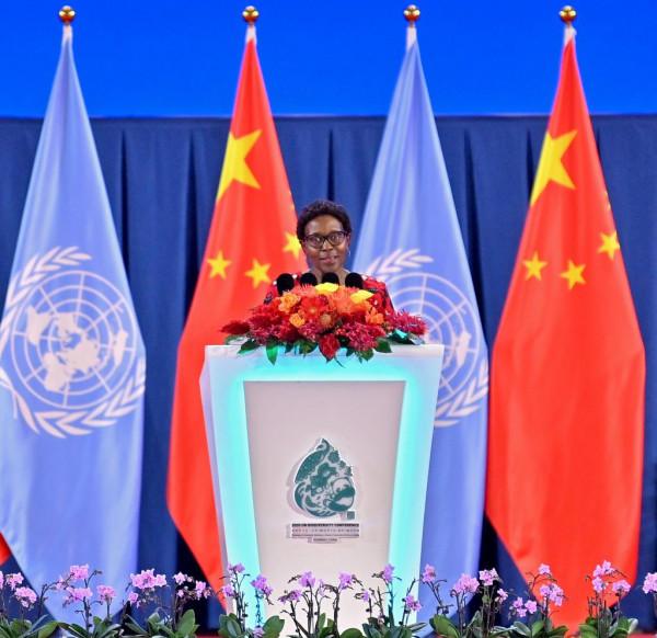 在春城開啟人與自然新未來——《生物多樣性公約》第十五次締約方大會開幕式的五個瞬間