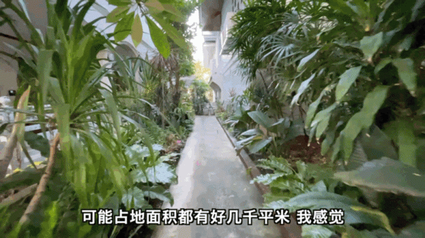 在泰國華欣躲疫情，無敵海景配巧克力熔岩蛋糕，人均50元吃美了