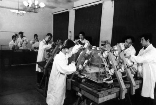 毛主席水晶棺：歷時10個月完成，純度99.9999%，3個工廠合力完成