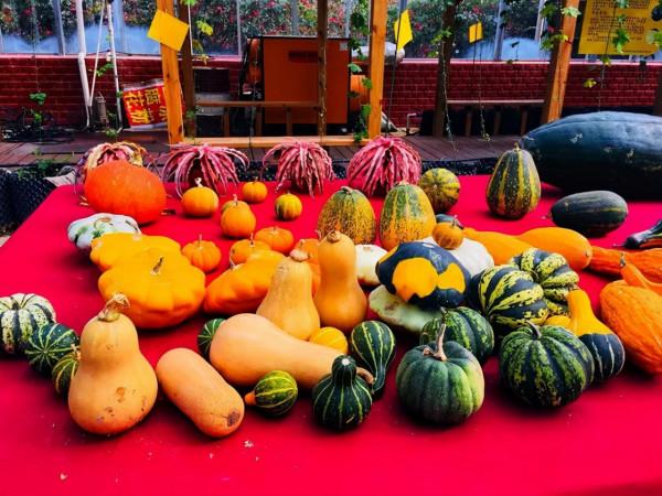 這個冬天,你應該去一趟廣西之崇左玉林靖西 這個冬天,你應該去一趟廣西之崇左玉林靖西