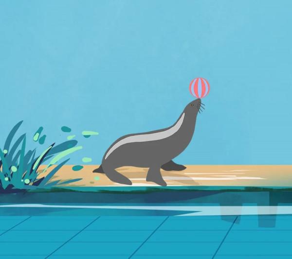 人與自然和諧共生教育：水生動物（一）​