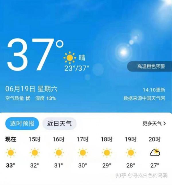你在種小麥嗎?不,我在進行一場修行 你在種小麥嗎?不,我在進行一場修行