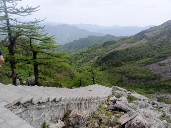 秦嶺深處的高山草甸，朱雀森林公園