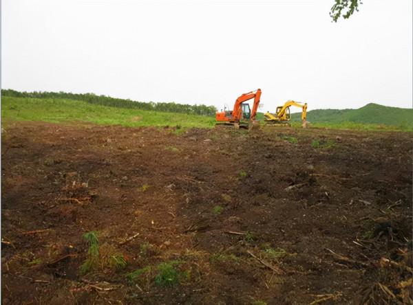 上頭批了。 上頭批了。