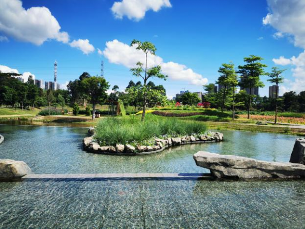 觀瀾河溼地公園更美了！還有多少驚喜是我們不知道的？