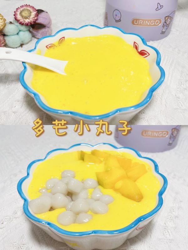 提高幸福感好物分享|破壁機 多芒小丸子 提高幸福感好物分享|破壁機 多芒小丸子