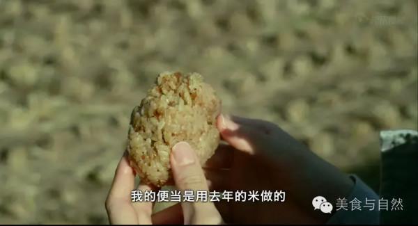 走進小森林之秋季篇