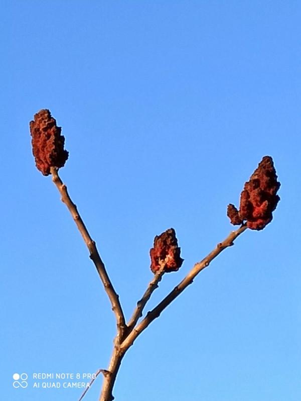 尋找幽靜好去處